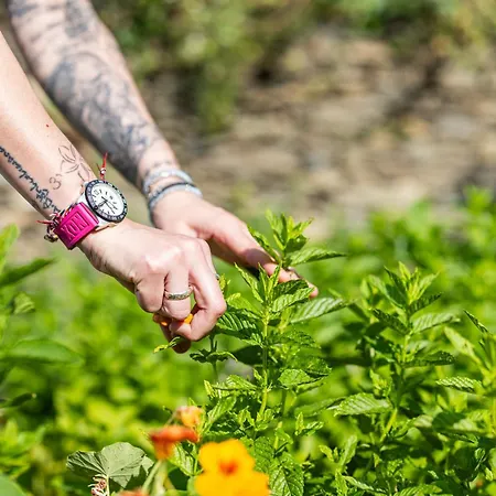 Hotell Restaurant La Corniche San-Martino-di-Lota