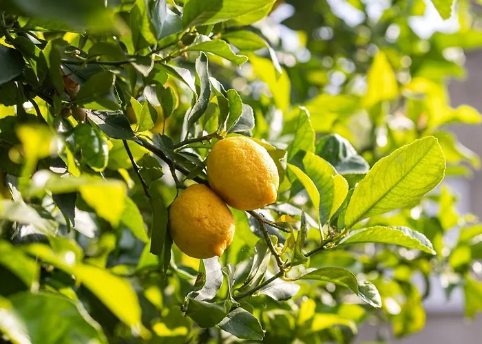 Restaurant La Corniche