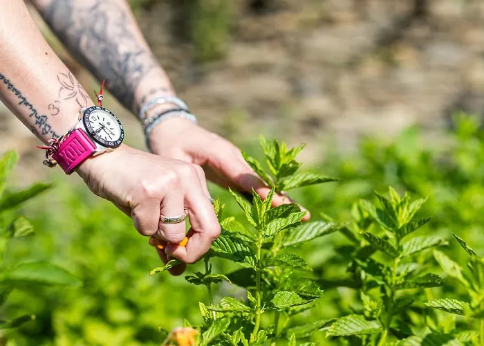 Hotell Restaurant La Corniche San-Martino-di-Lota